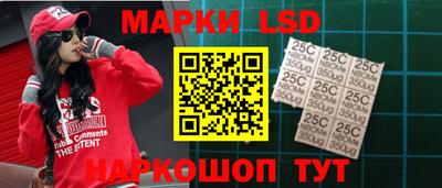 индика Камышлов