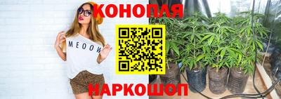 прущая мука Кандалакша