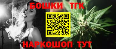 индика Камышлов