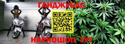 индика Камышлов