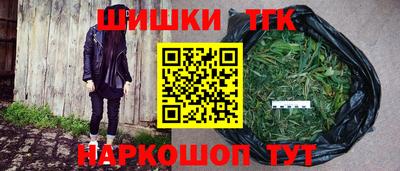 индика Камышлов