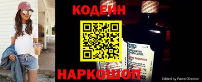 индика Камышлов
