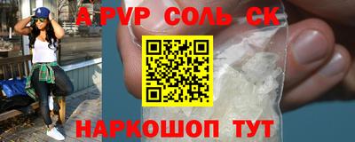индика Камышлов