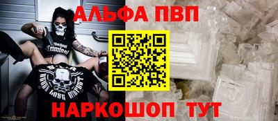 индика Камышлов