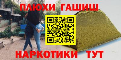 индика Камышлов