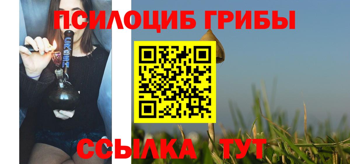 Галлюциногенные грибы GOLDEN TEACHER Красногорск